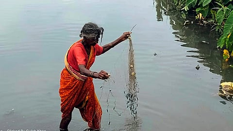 Fishing