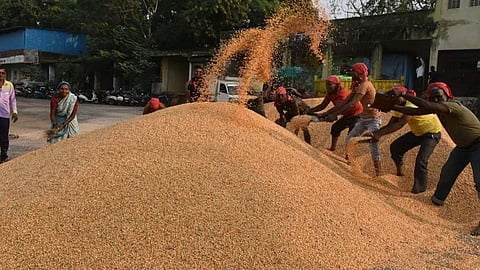Maharashtra Agriculture News