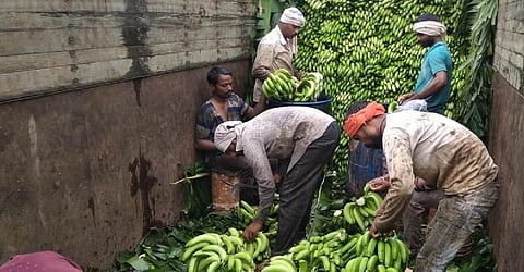 Banana Rate