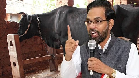 Cow Milk Rate
