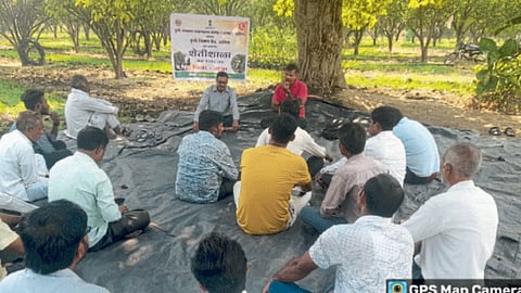 Orange Crop Management