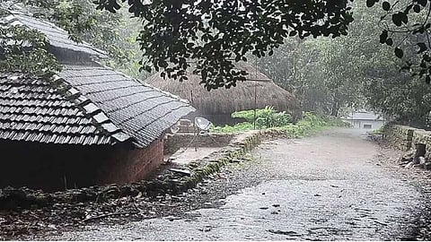 Unseasonal Rain Maharashtra