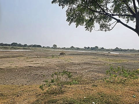 Drought Condition