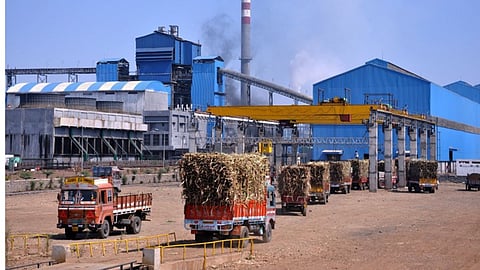 Sugarcane News