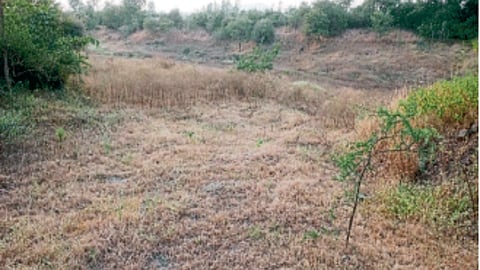 Water Crisis