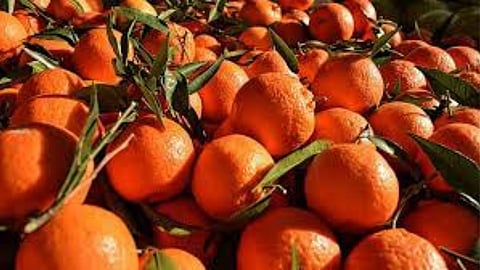 Orange
