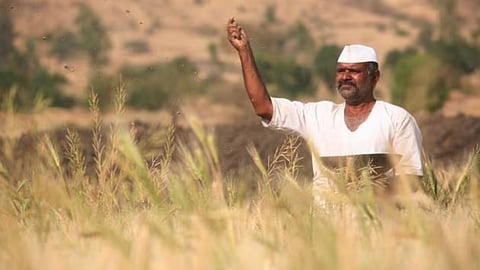 Farmer