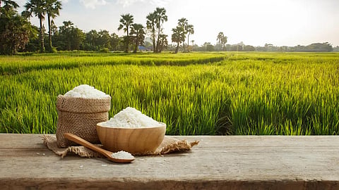 Rice Export
