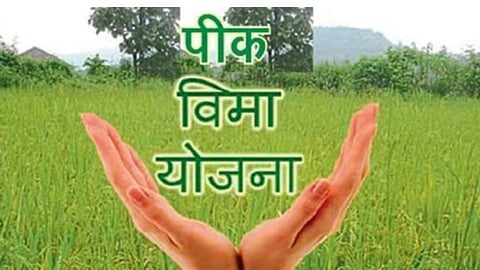 Crop Insurance
