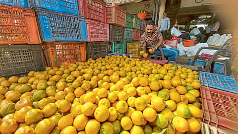 Orange Fruit