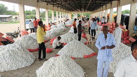 Silk Production