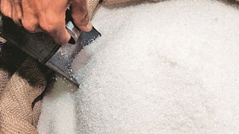 Sugar Rate