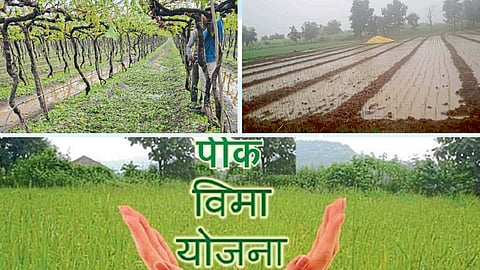 Crop Insurance Survey