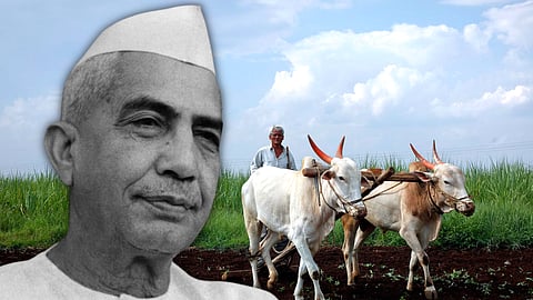 National Farmer's Day