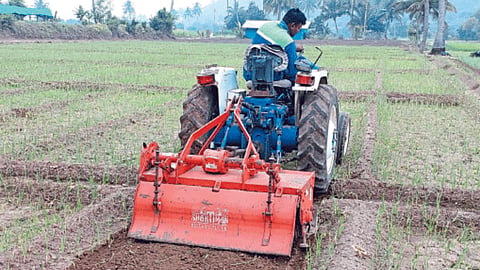 Crop Damage