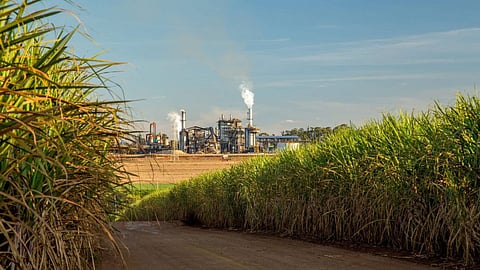 Ethanol Production