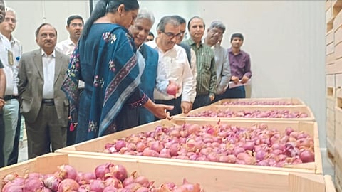 Onion Conservation