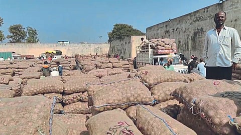 Onion Market