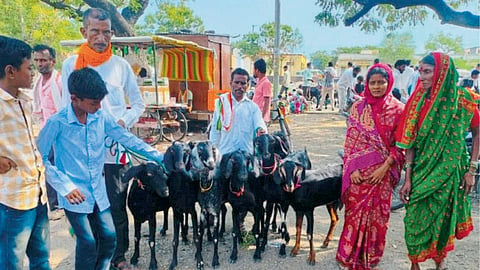 Saiprasad Family