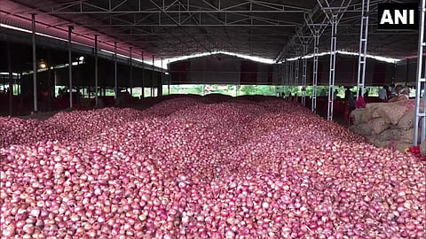 Onion Market