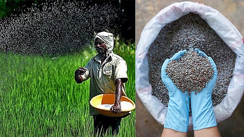 Fertilizers