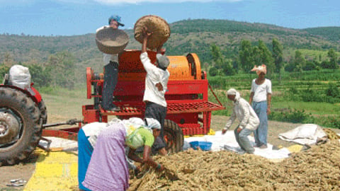 Tur Harvesting