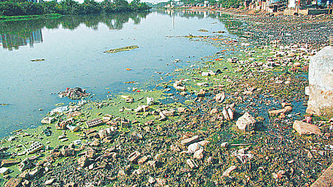 River Pollution