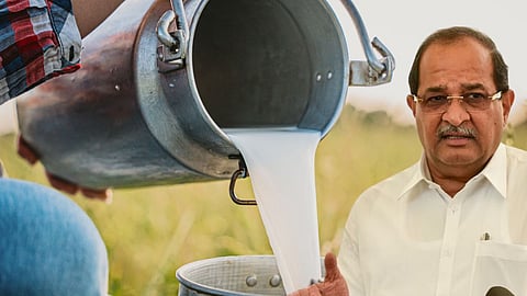 Milk Subsidy