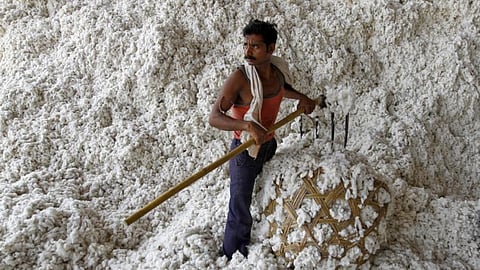 Cotton Market