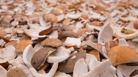 Coconut Market