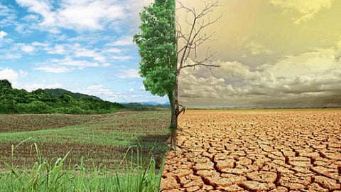 Climate Change