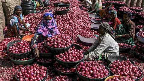 Onion Market