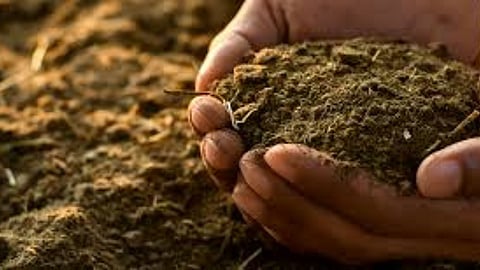 Agriculture Management