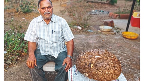 Suran Farming