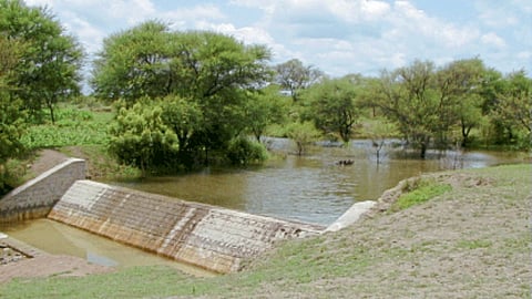 Agriculture Irrigation