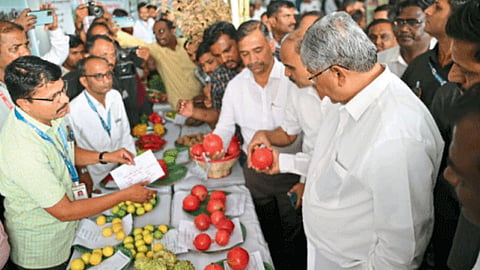 Chandrakant Patil