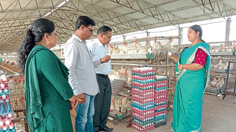 Poultry Business