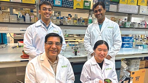 Agriculture Research