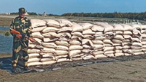 Sugar Smuggling
