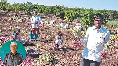 Agriculture