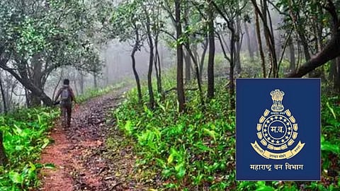 Forest Department
