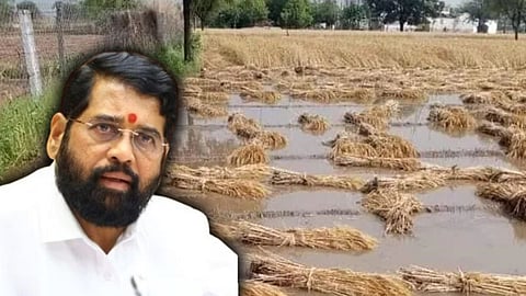 Financial Assistance To Farmers