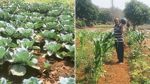 Agriculture
