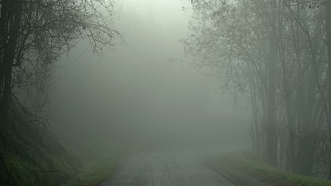 Weather