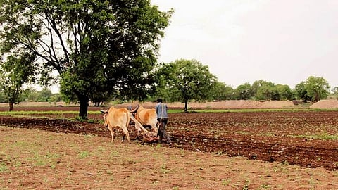 Farmer