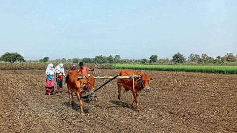 Agriculture Management
