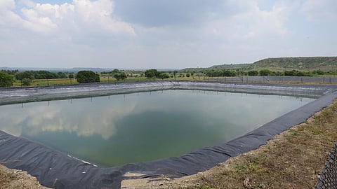 Farm Pond