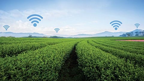 Agriculture Satellite