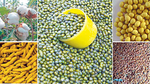 Agriculture Market Rate