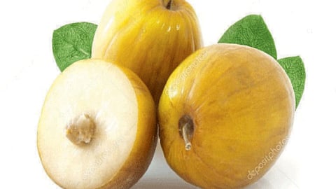 Ber